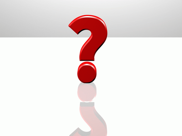 این راهنمای جامع غذای گربه پرشین را بخوانید + 17 نکته و معرفی برندها